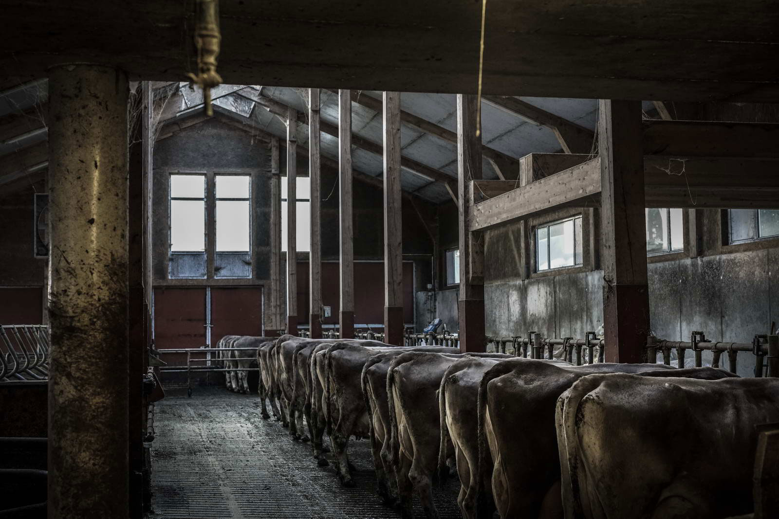 Allgäu Stall Weh 019