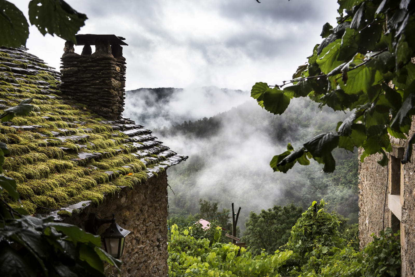 Cevennen, Frankreich 007