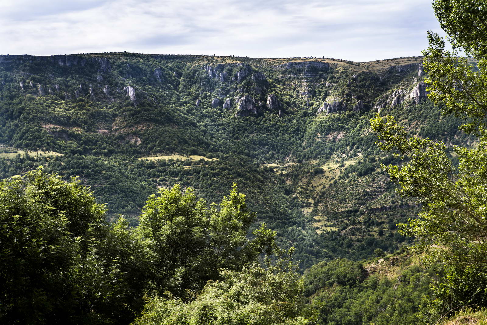 Cevennen, Frankreich 030
