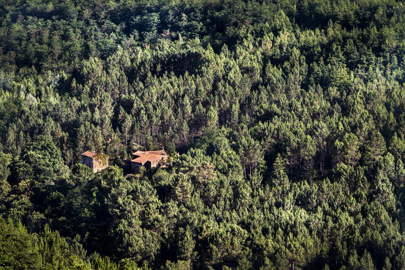 Cevennen, Frankreich 034