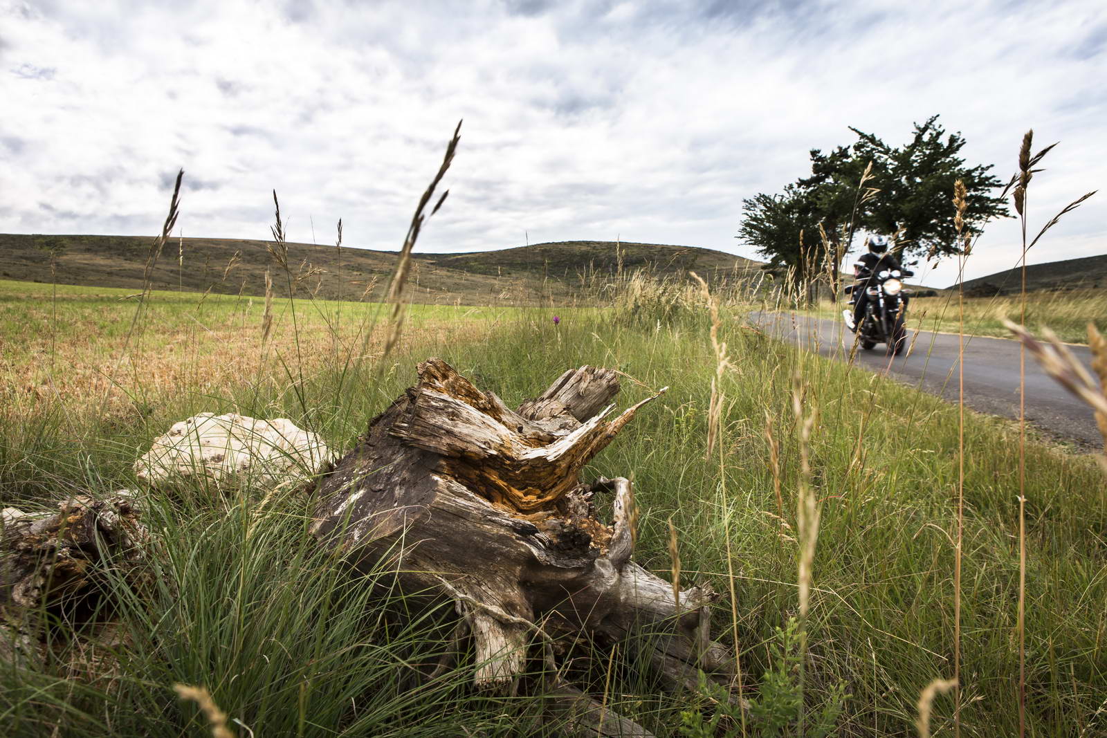 Cevennen, Frankreich 036