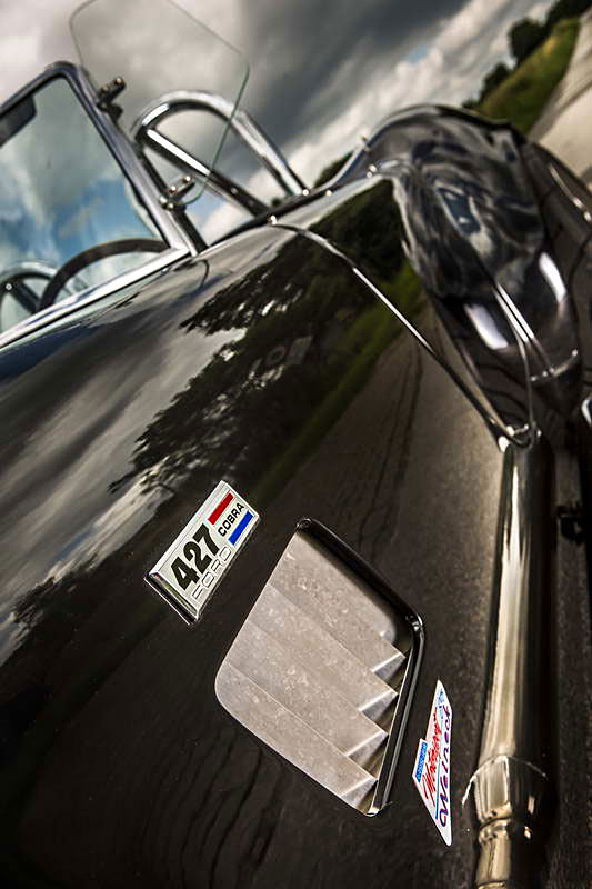 Cobra Weineck  V2C8039