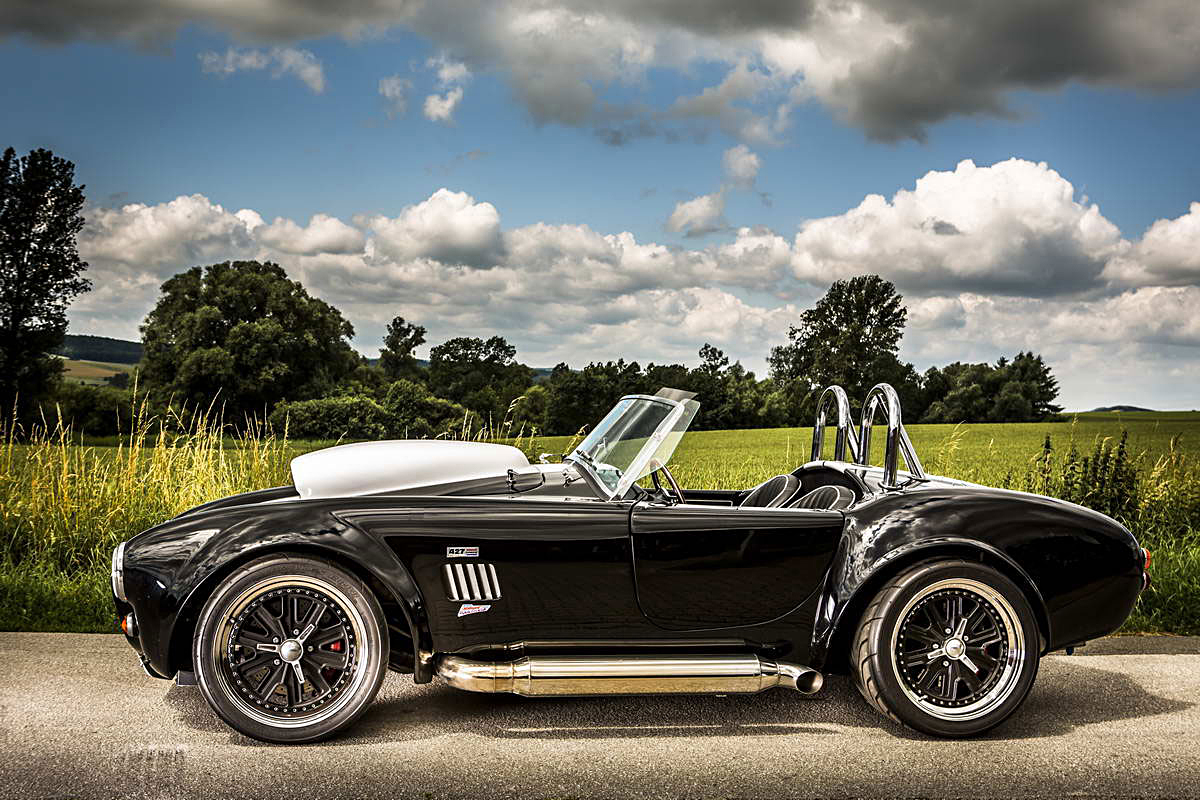 Cobra Weineck  V2C8056