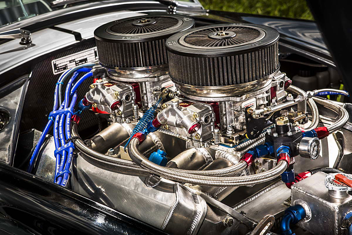 Cobra Weineck  V2C8199