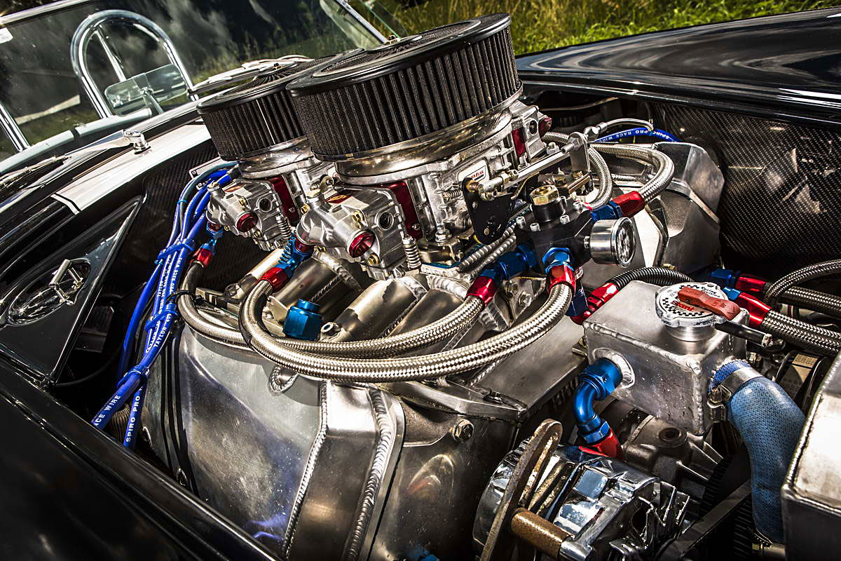 Cobra Weineck  V2C8203